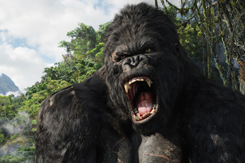 Kong