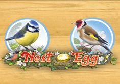 Nest Egg